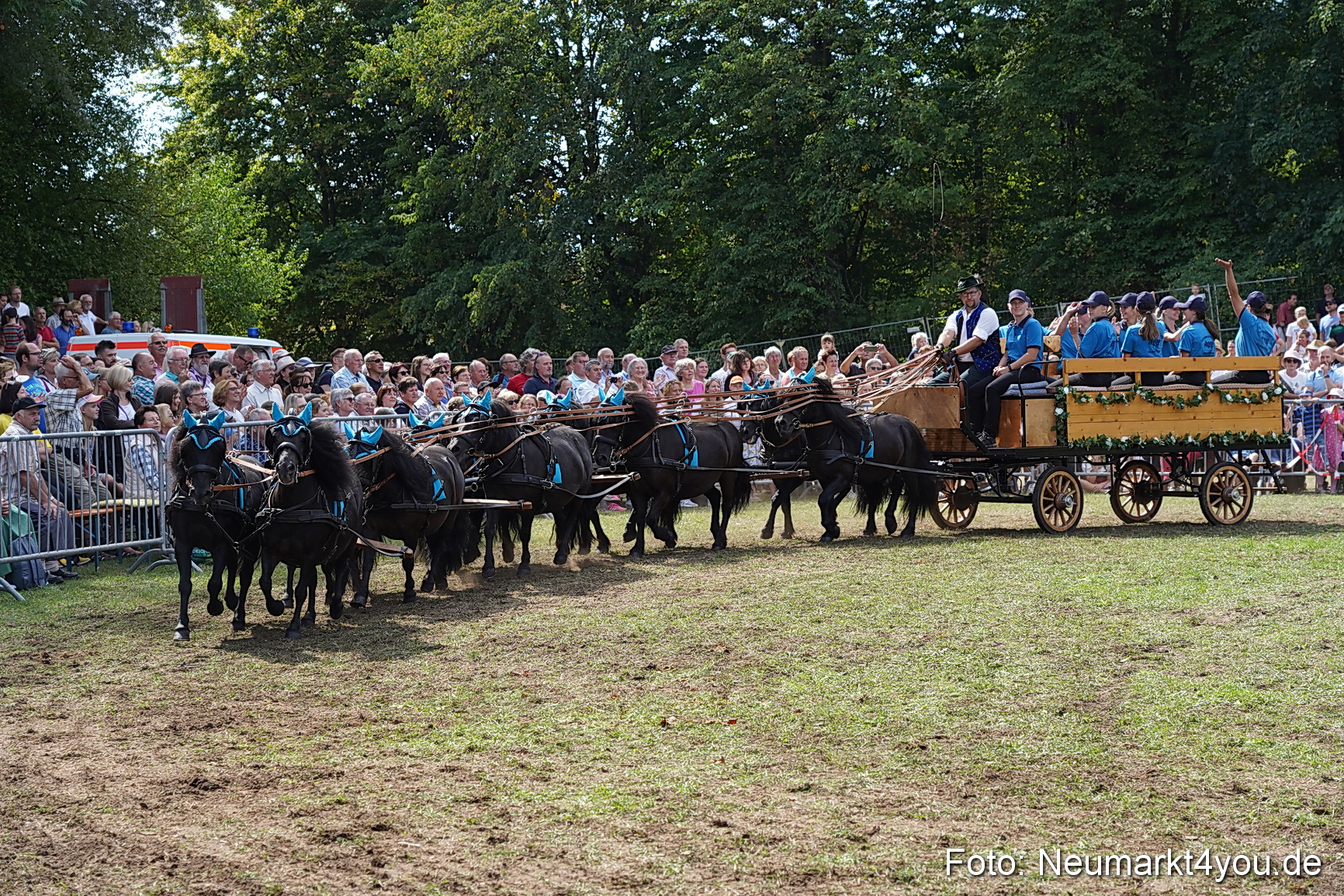 Pferde und Fohlenschau 2022 0293 